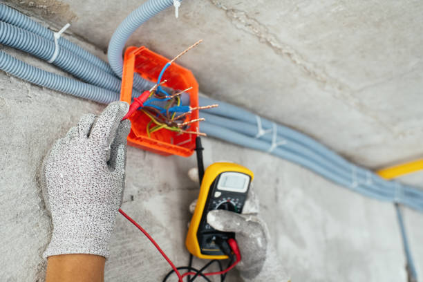 Best Electrician for Home Renovation  in Parkville, MO