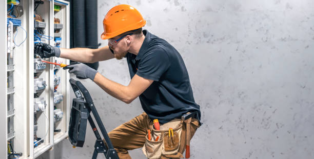 Best Electric Panel Repair  in Parkville, MO